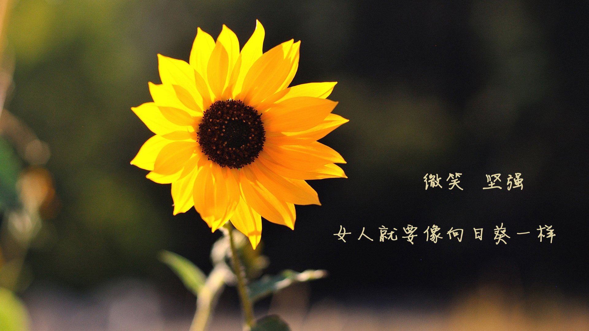 _童趣攀岩体验馆：激发孩童运动潜能_，儿童攀岩游乐场