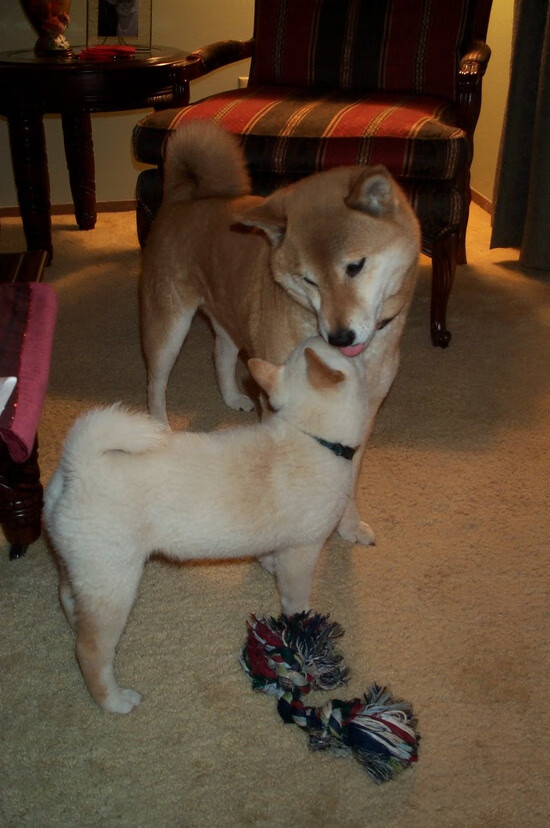 b体育电竞-最动人的“球队团魂”瞬间：合作成就奇迹，团队球员