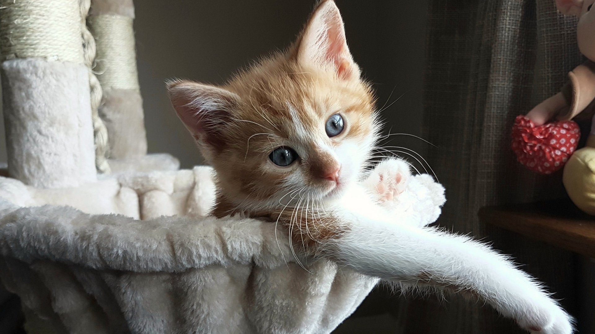 运动员合作:双人配合战术的精彩展现,双人运动比赛