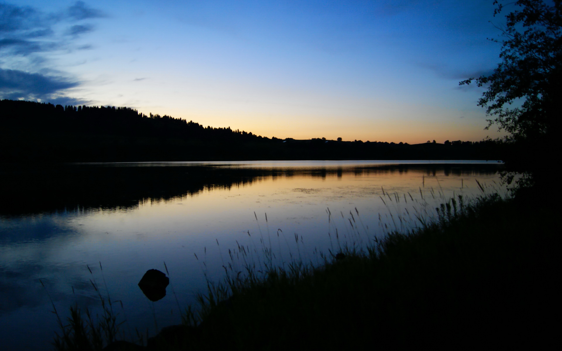 中国游泳队备战东京奥运会集训，中国游泳队东京奥运会预选赛