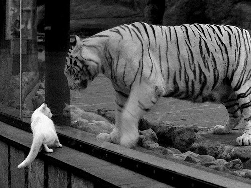 球员在比赛中表现出色,被称为全场最佳,全场最佳球员怎么评