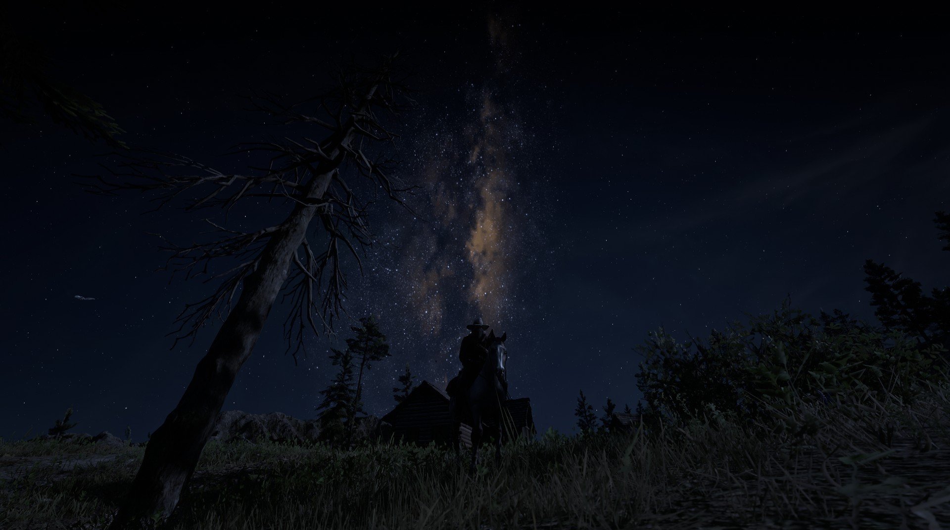 荷兰国家队备战备受关注,欧锦赛看台热闹,荷兰 欧锦赛