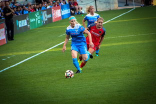 b体育娱乐-中国篮球职业联赛俱乐部财务风险管理，篮球俱乐部财务制度