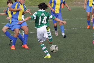 B体育中国官方平台-中国足球外援依赖度趋势分析，中国足球外援依赖度趋势分析图