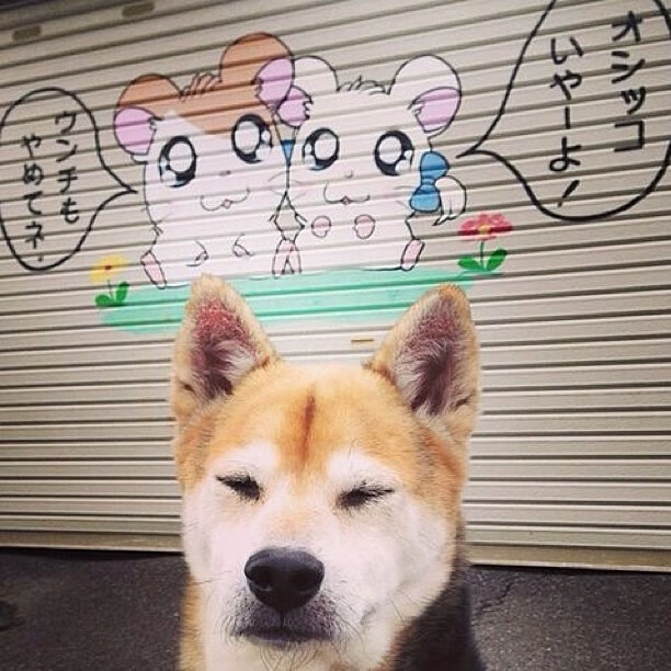 法甲球队基于运动负荷监测优化恢复训练策略,运动负荷测试与分析报告