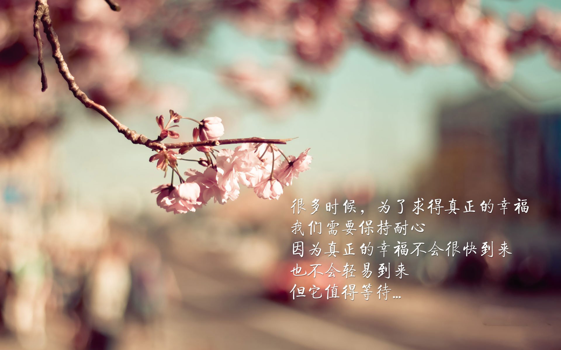 篮球专项技能训练课程体系优化研究,篮球专项技能展示