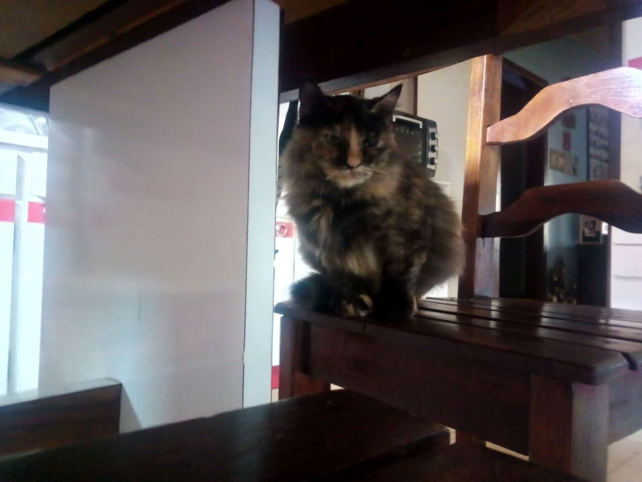 体育新闻中心协同各方打造体育公益传播平台,体育新闻报道