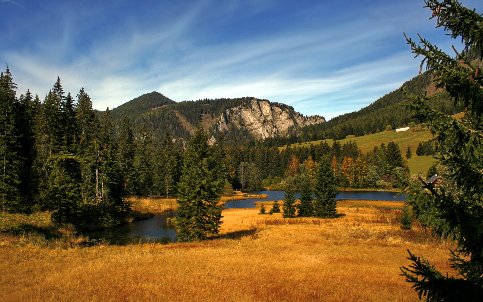 电竞职业联盟正式成立 规范俱乐部运营模式,电竞俱乐部创办