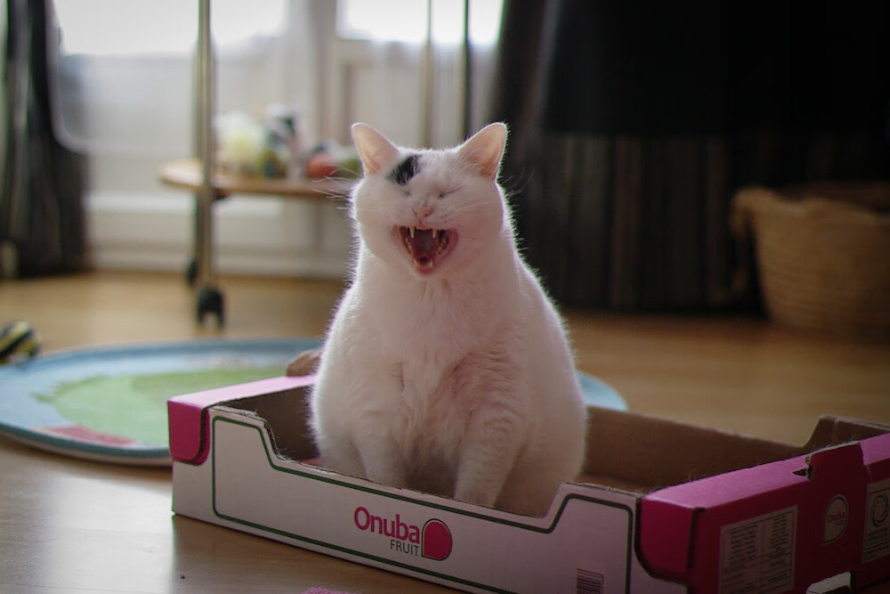 职业联赛整体节奏偏慢问题突出,职业联赛定义