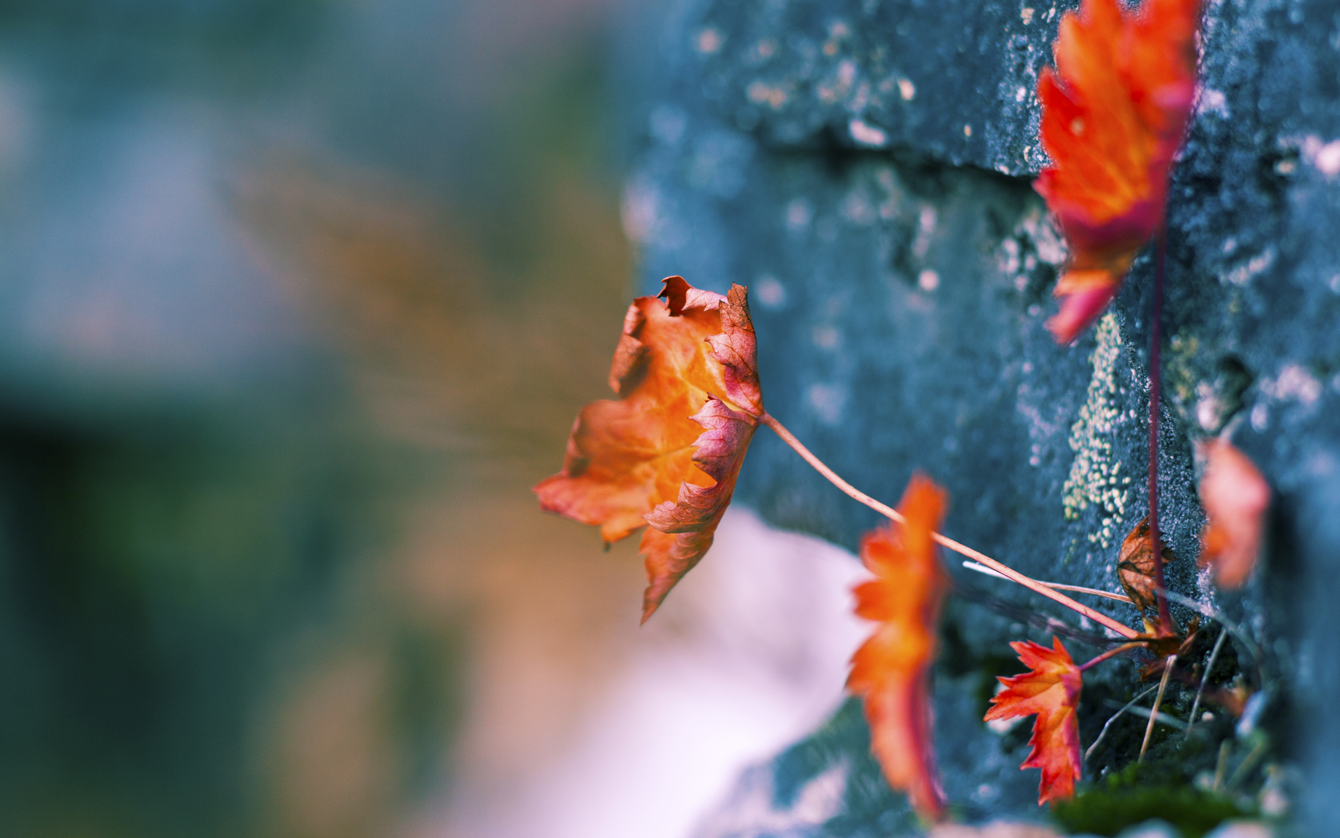 地方队成立篮球推广小组深入社区举办公益训练课程,篮球社活动宣传语