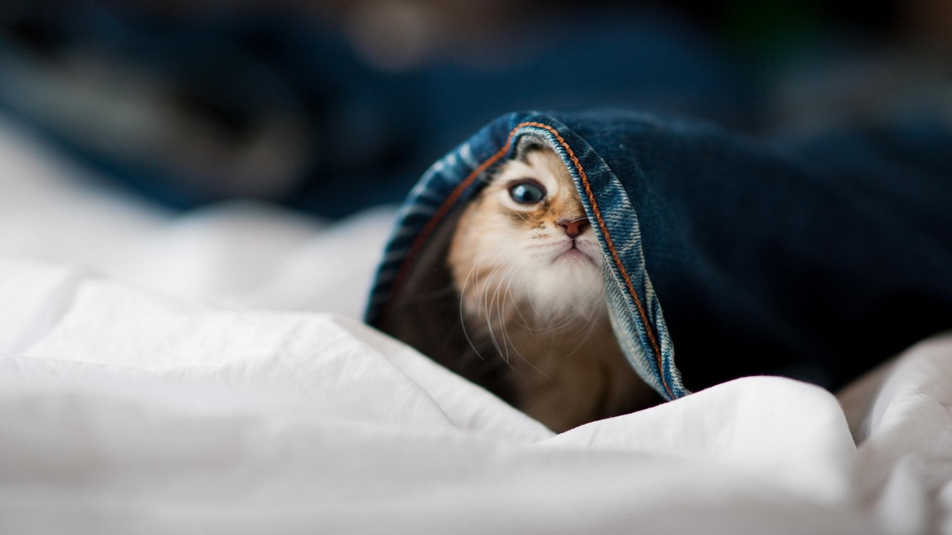 B 体育官网-恩多比·恩乔：完美的转换踢球让南非队在比赛中占据主动，恩多cba