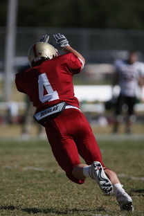 b体育(sports)官方网站-校园足球支持学生裁判项目拓展多元职业通路，普通高校足球专业学生裁判能力的培养