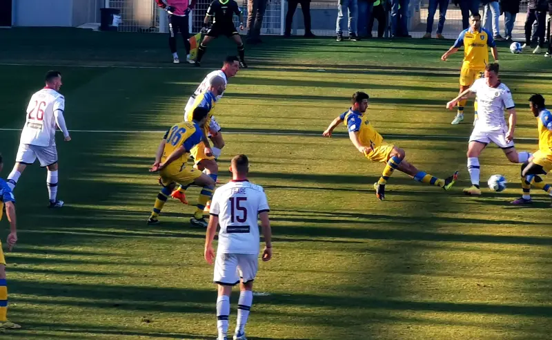 B体育官方网站：意甲雷吉纳的进攻风格备受瞩目的简单介绍